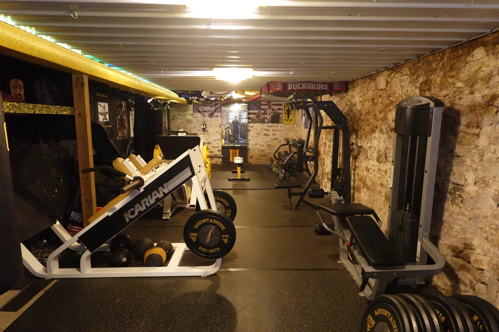 Cable jungle and plate-loaded machines on turf